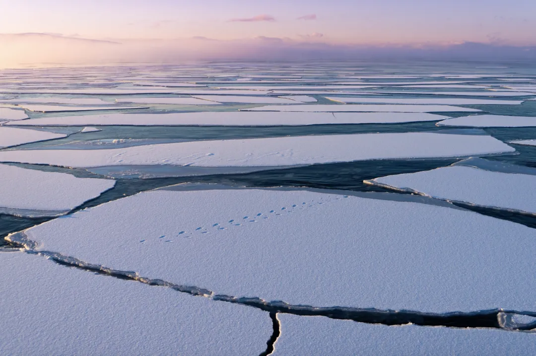 Arctic glacier calving