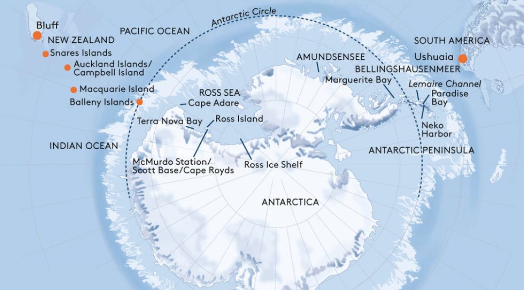 King Penguins on South Georgia