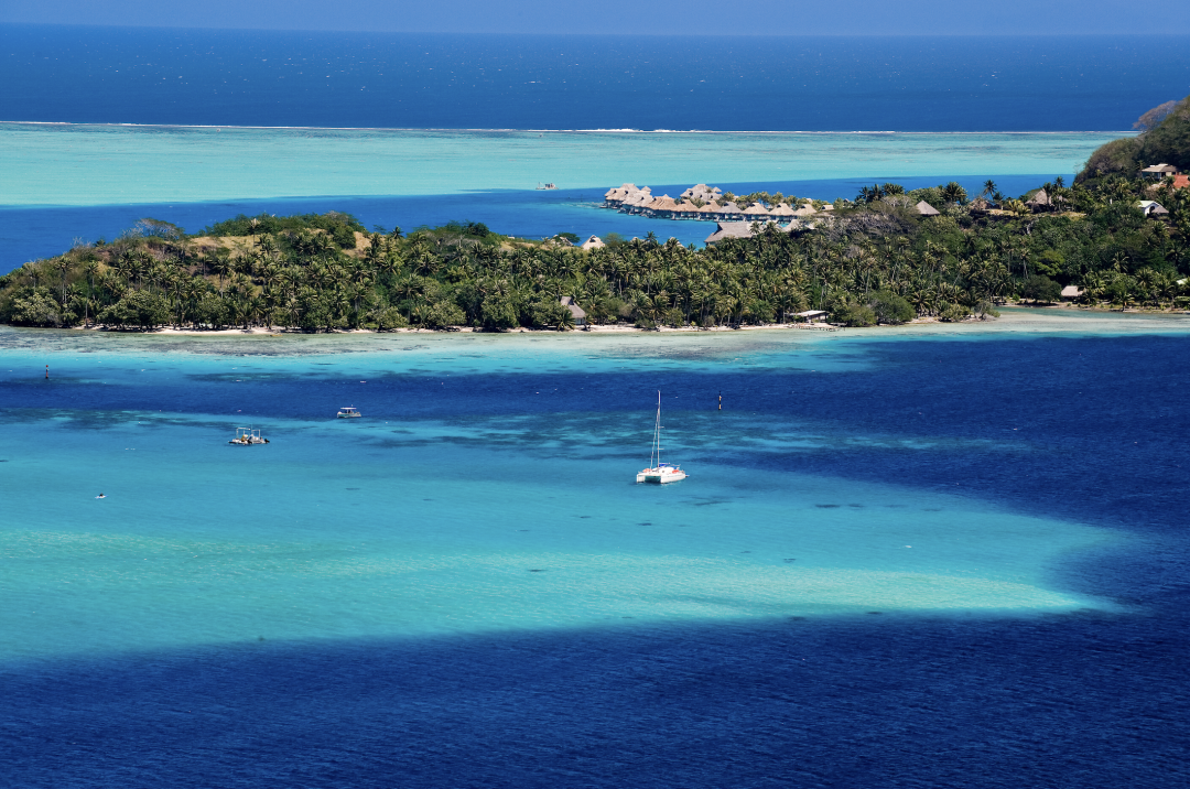 Snorkeler swimming with rays in Bora Bora