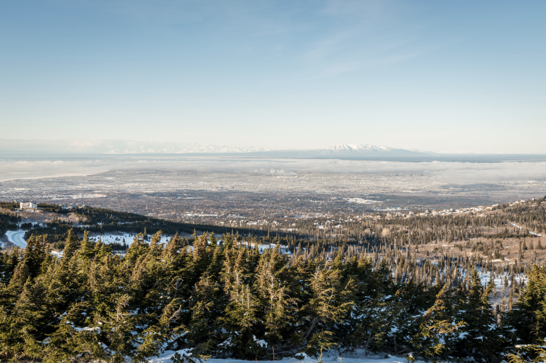 Dog Sledding in Alaska’s Winter Wonderland