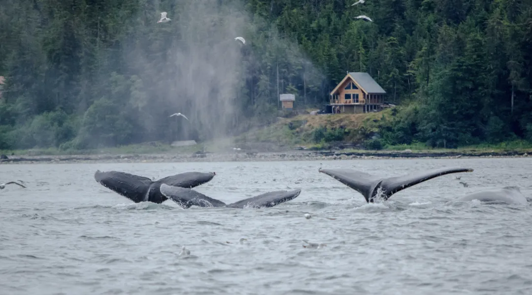 Solo traveler hiking