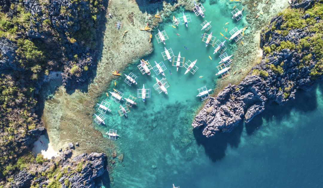 Palawan marine life: turtles and coral reefs