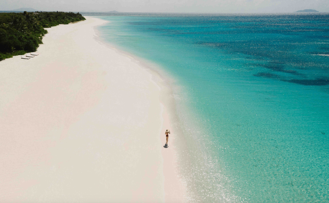 Momo Pat Silk Island Diving