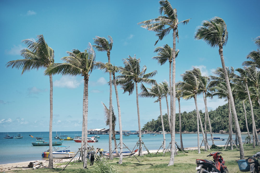 Cultural exploration in Ubud, Bali
