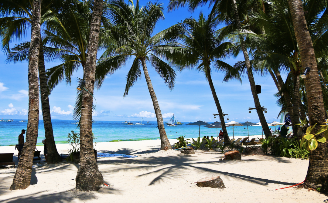Bohol Chocolate Hills