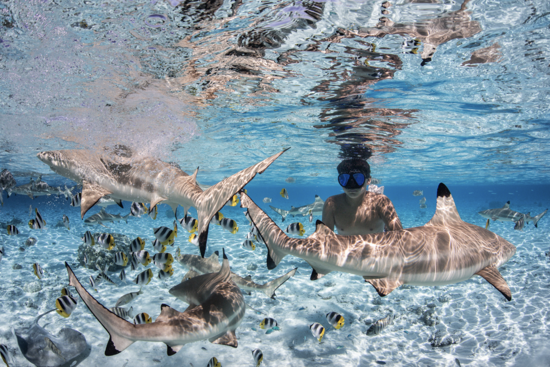 The Brando Resort beach