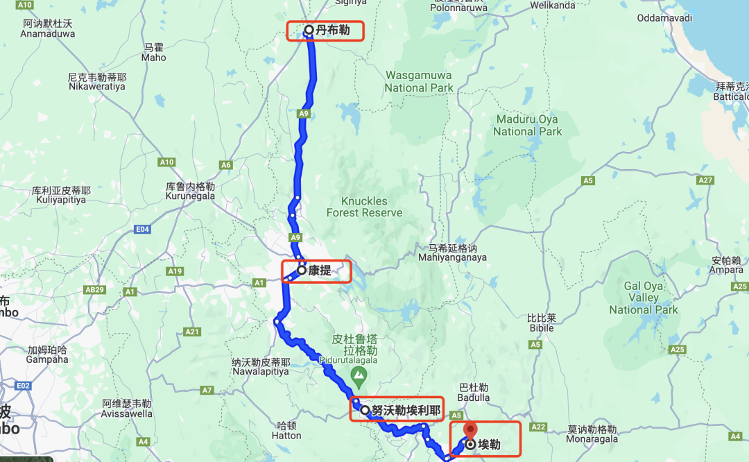 Wild Coast Tented Lodge