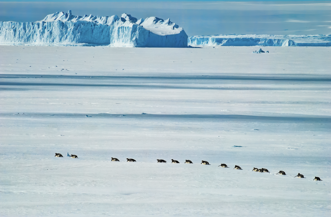 Antarctica Glacier Landscape