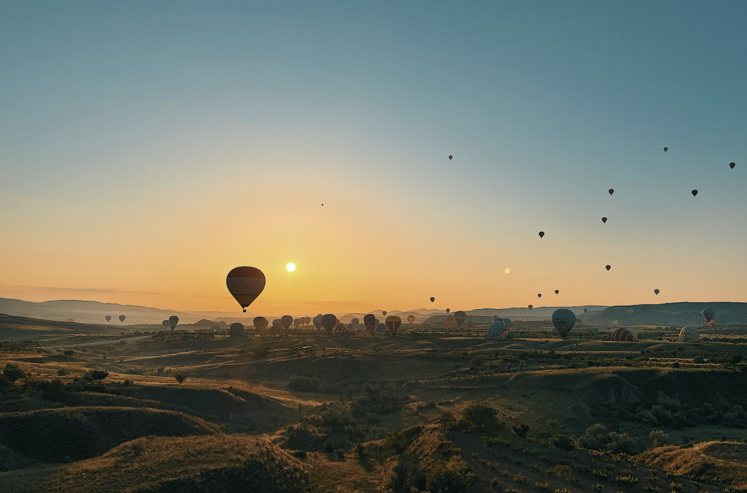 Contract with highlighted clauses