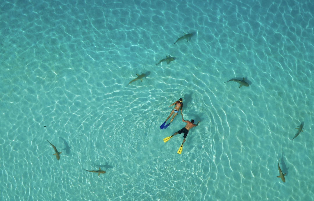 Couple enjoying a picnic on a sandbar