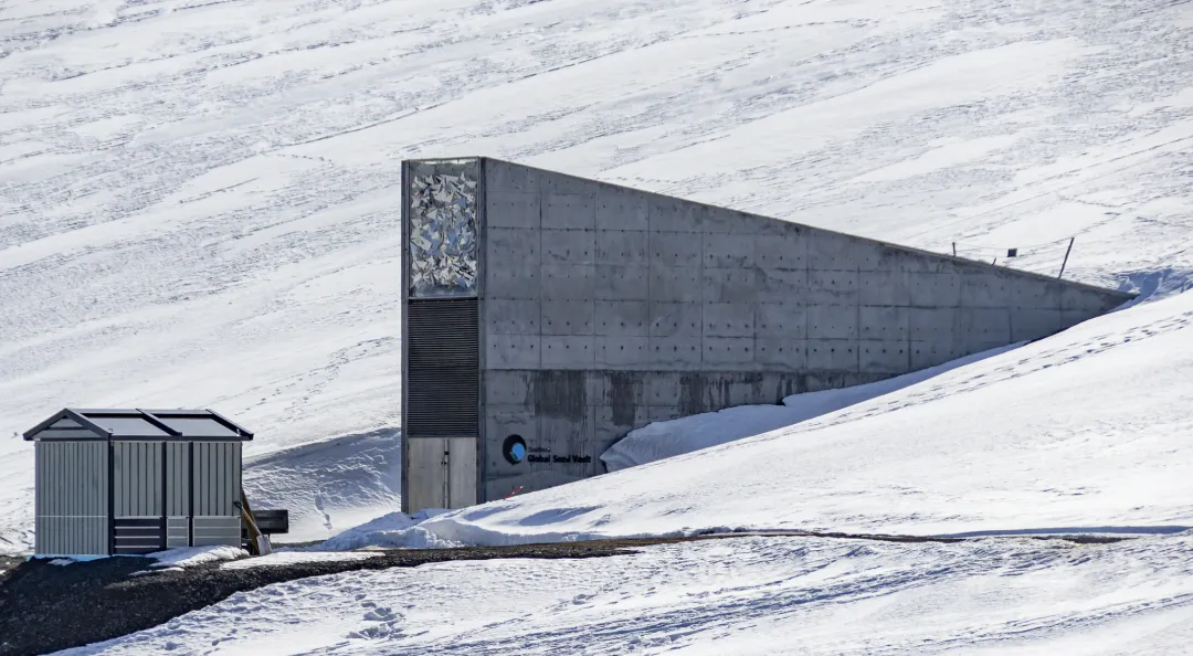 Arctic Travel Myths Debunked