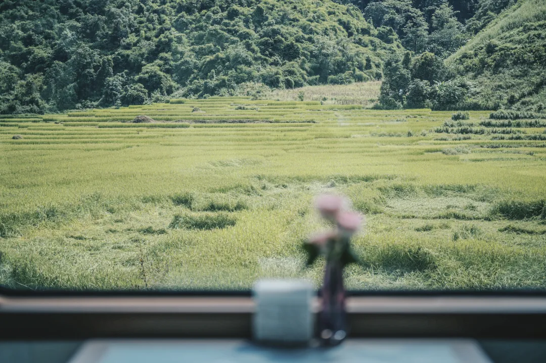 Train Interior with Scenic Views