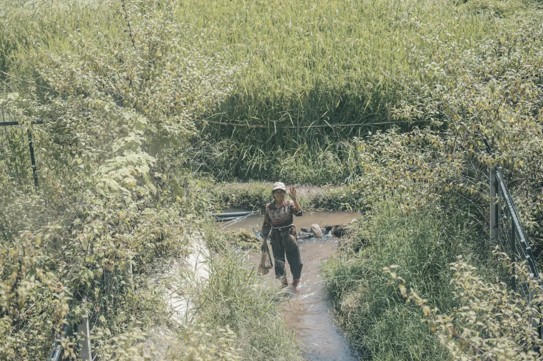 Deluxe Room Interior